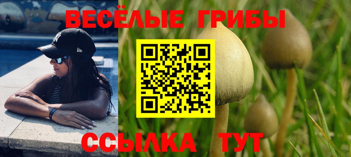 Обь  Галлюциногенные грибы мицелий  Вход с VPN 